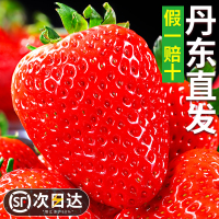 冠町 丹东99草莓2斤装大果(单果30-35g) 久久红颜奶油新鲜水果