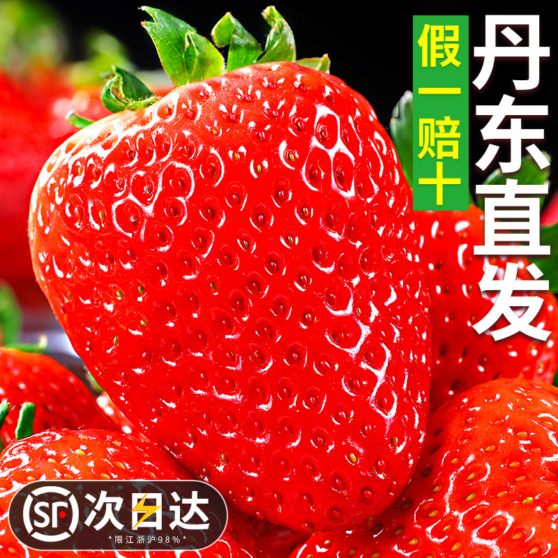 冠町 丹东99草莓2斤装大果(单果30-35g) 久久红颜奶油新鲜水果