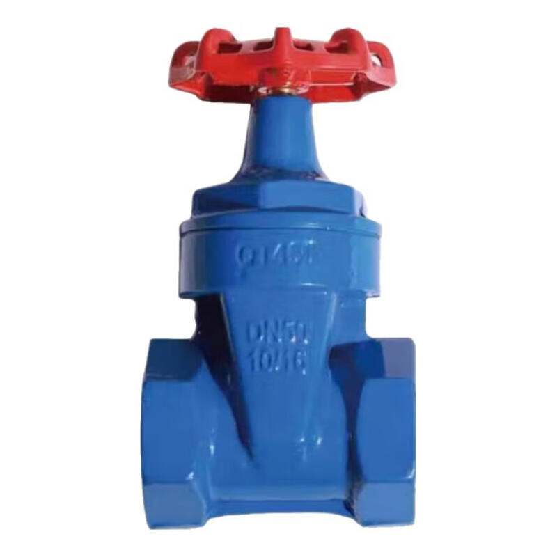 般德 丝扣软密封闸阀 DN25 个