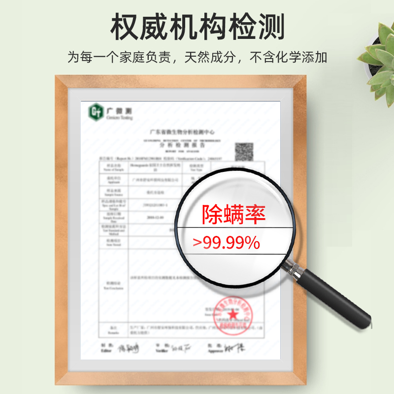 除螨喷雾1瓶[100ML] 除螨神器除螨床上被褥消毒床垫除菌家用去螨虫剂驱虫防除尘螨喷雾
