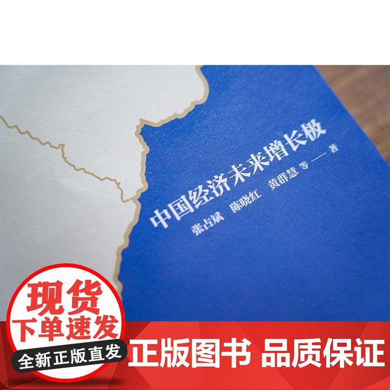 新质生产力 黄奇帆 洪银兴等高层智囊重磅发声 2024年读懂中国经济新读本 这本书带你跟上中国下一步 正版书籍 包高清大图