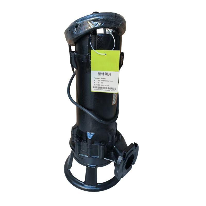 智铮朗月 抽水泵 DN50 1.5KW 220V 台