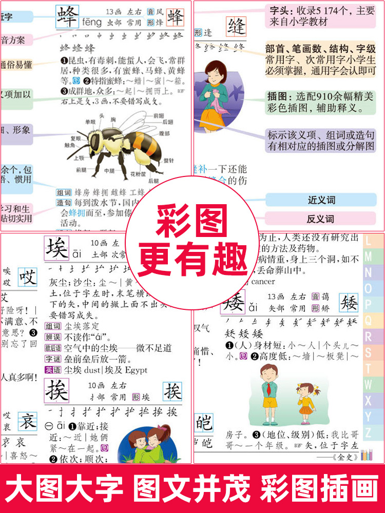 彩图版小学生全功能字典 [正版]汉语词典彩图版字典小学生 字典新版大字人教版儿童版新编学生汉语大全多功能字词典词语组词造高清大图
