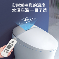 东鹏卫浴(DONGPENG)智能马桶一体机全自动烘干妇洗智能坐便器 智能马桶连体马桶