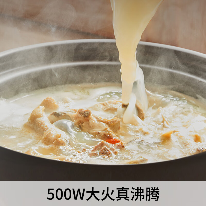 九阳(Joyoung)电炖锅4L大容量电炖锅炖汤锅燕窝煮粥锅预约双驱加热大功率500W快炖沸腾提鲜DG40K-GD406高清大图