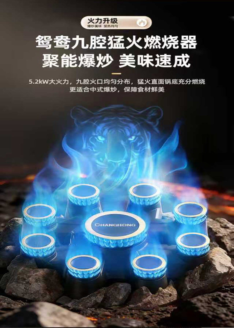 长虹(CHANGHONG)5.2kW猛火二级能效 纯铜火盖九腔直喷聚能炉架 带定时功能天然气12T灶具JZT-B659高清大图