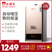 小霸王 DS6010燃气热水器家用10L天然气智能变频恒温特价强排式