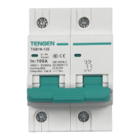 天正电气 TGB1N-125 2P C 100A 6kA AC400V 01060280019 微型断路器