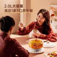 苏宁宜品X长帝RE25A养生锅电炖锅炖盅隔水炖家用煮粥神器陶瓷煲汤锅燕窝专用炖盅