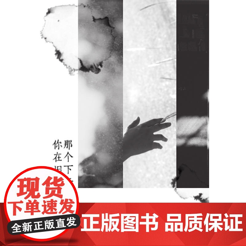 那个下午你在旧居烧信 李佩珊 上海三联书店 正版书籍高清大图