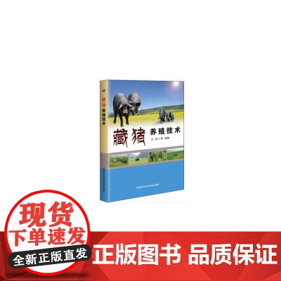 藏猪养殖技术