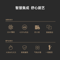 长虹(CHANGHONG) 家用集成灶21m³一体式灶家用环保灶自动清洗油烟机侧吸式大吸力烟灶消一体机套装液化气