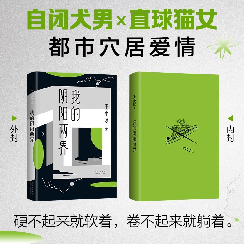 [正版]赠夜光书签我的阴阳两界 2021版 王小波 著 都市穴居爱情故事 短篇小说现当代文学小说作品 罗翔朱一龙麦家李