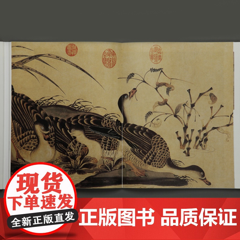 中国绘画名品 赵佶柳鸦芦雁图写生珍禽图 中国美术 正版画册书籍 上海书画出版社 世纪出版高清大图