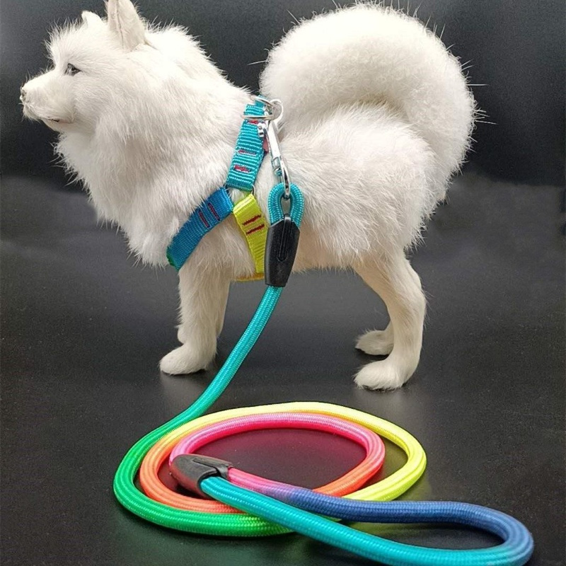 狗狗牵引绳狗链子泰迪小型犬幼犬背心式遛狗项圈胸背绳子宠物用品胸背