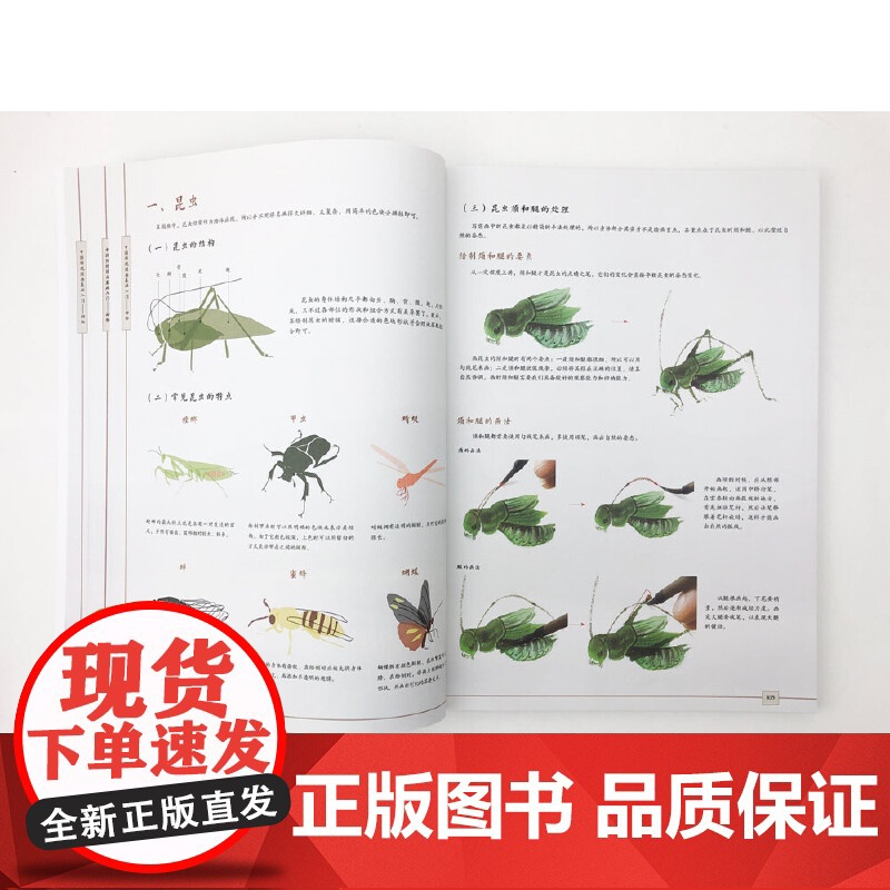 传统中国画基础入门:动物篇 飞乐鸟 电子工业出版社 正版书籍高清大图