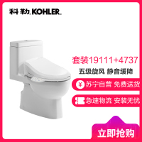 科勒KOHLER马桶 瑞雅五级旋风 一体全包式马桶 节水裙包型 K-19111T/19112T 智能盖板4737套装