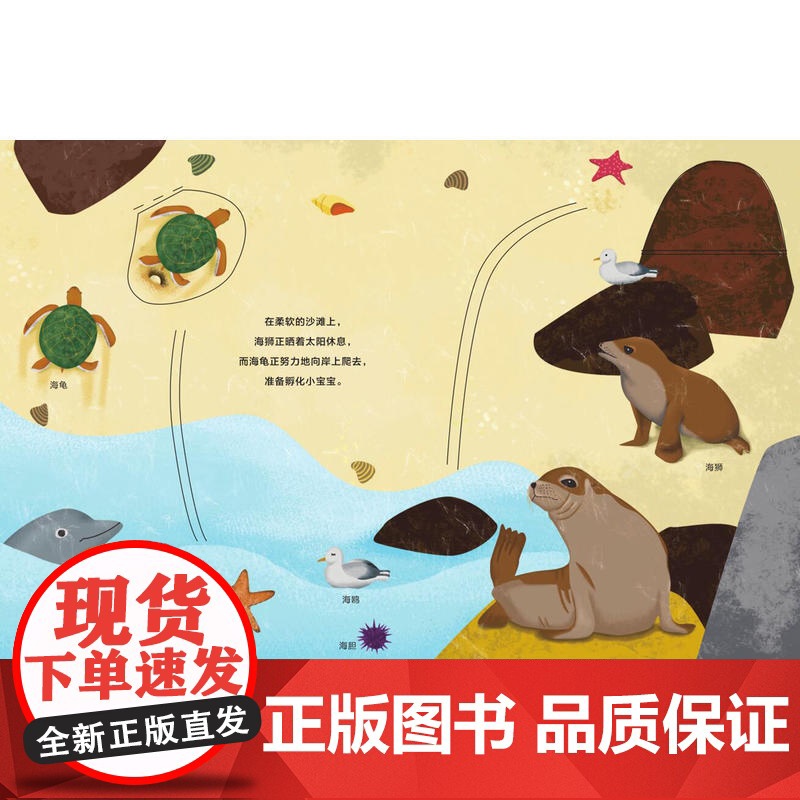 宝宝立体认知游戏书—海洋高清大图