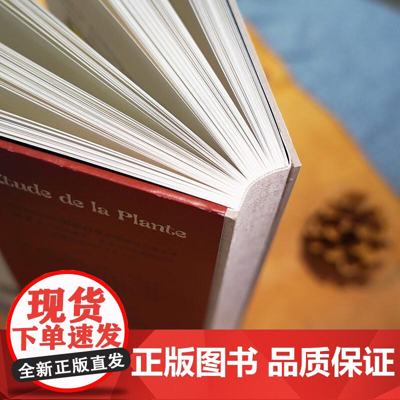 复古艺术馆系列 万物有文 新艺术植物装饰 520情人节节日礼物书自然治愈艺术手绘设计书籍 后浪出版高清大图