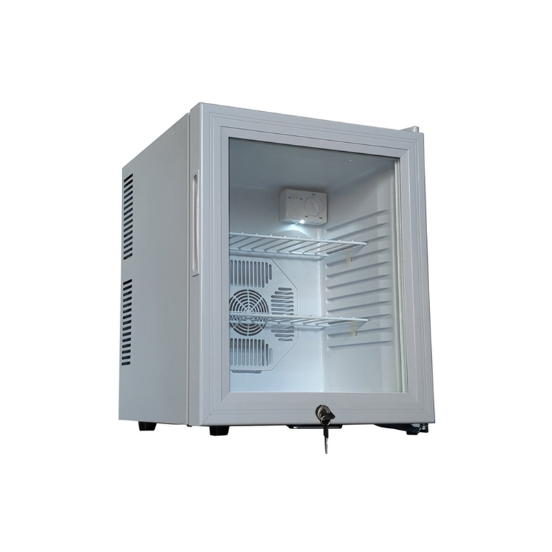 学校幼儿园食品留样柜展示柜切夫曼保鲜冷藏箱酒店客房冰箱带单双锁