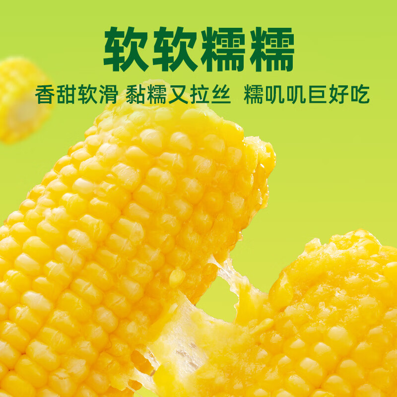 十月稻田鲜食黄糯玉米1.32kg(220g*6)香甜软滑黏糯0添加真空包装高清大图