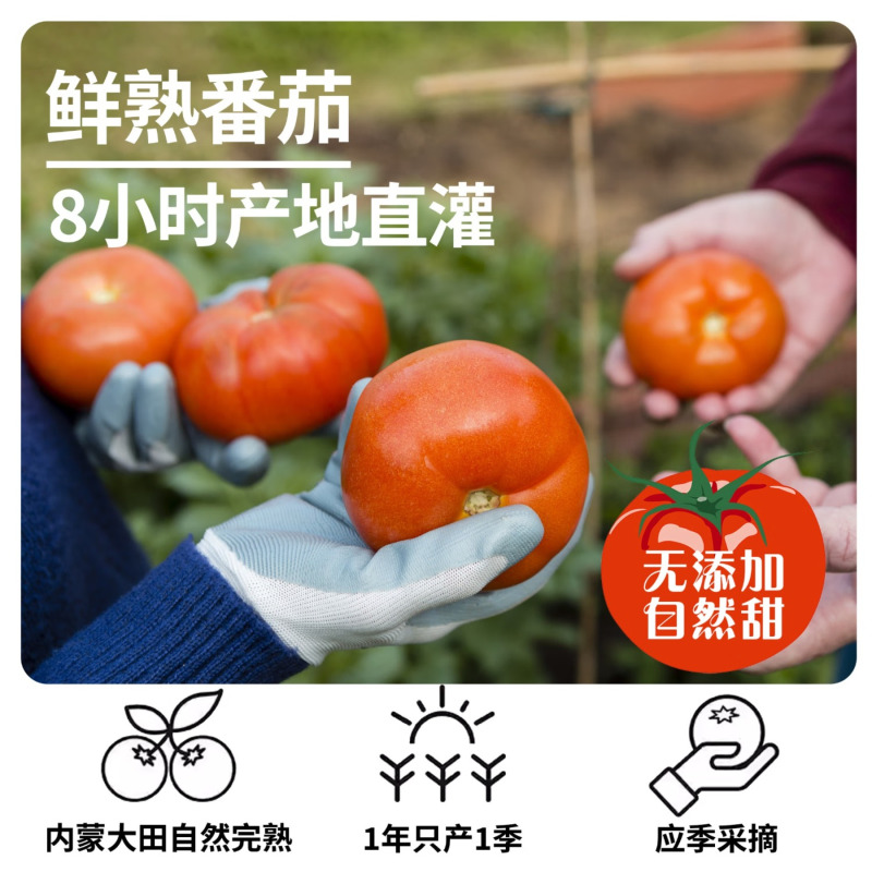 鲜每优NFC100%番茄汁饮料整箱 红番茄鲜榨 非浓缩还原218ml*6瓶源头直发