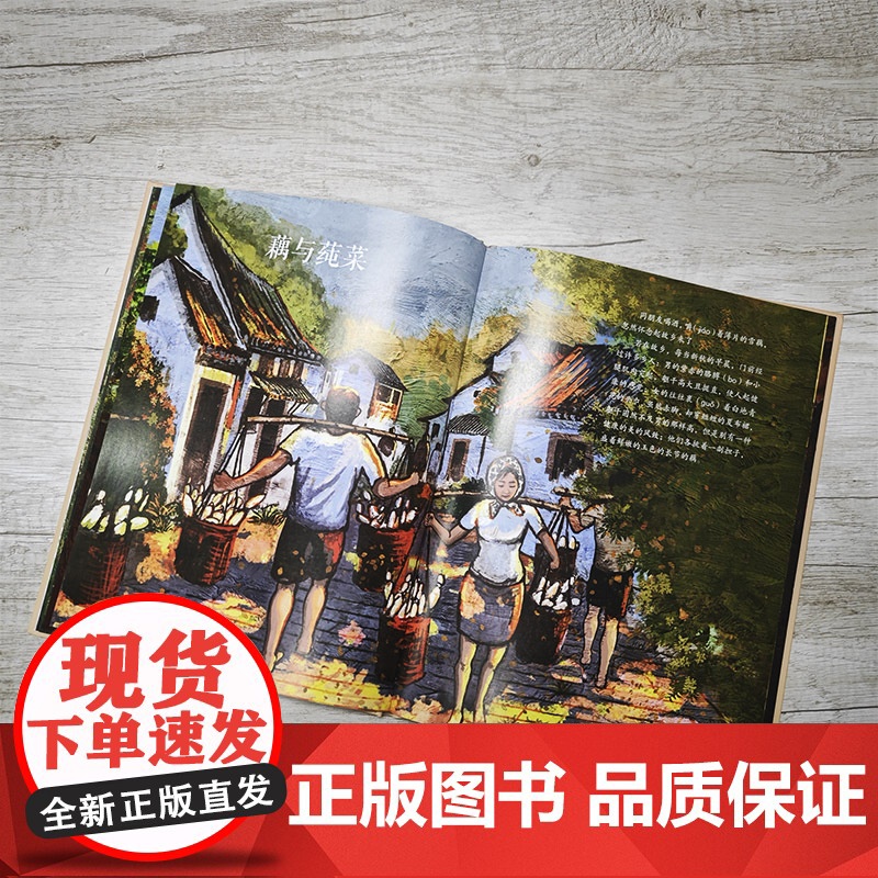 大家小绘系列:爬山虎的脚高清大图