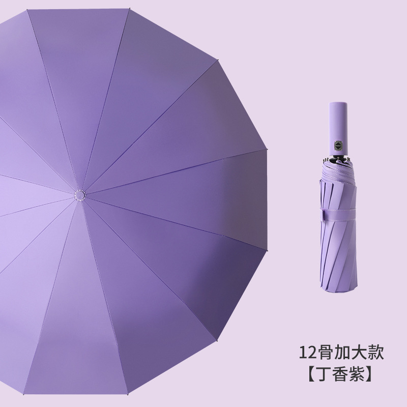 自动12骨双龙骨抗风暴自动伞莫兰迪防晒防雨晴 雨两用伞