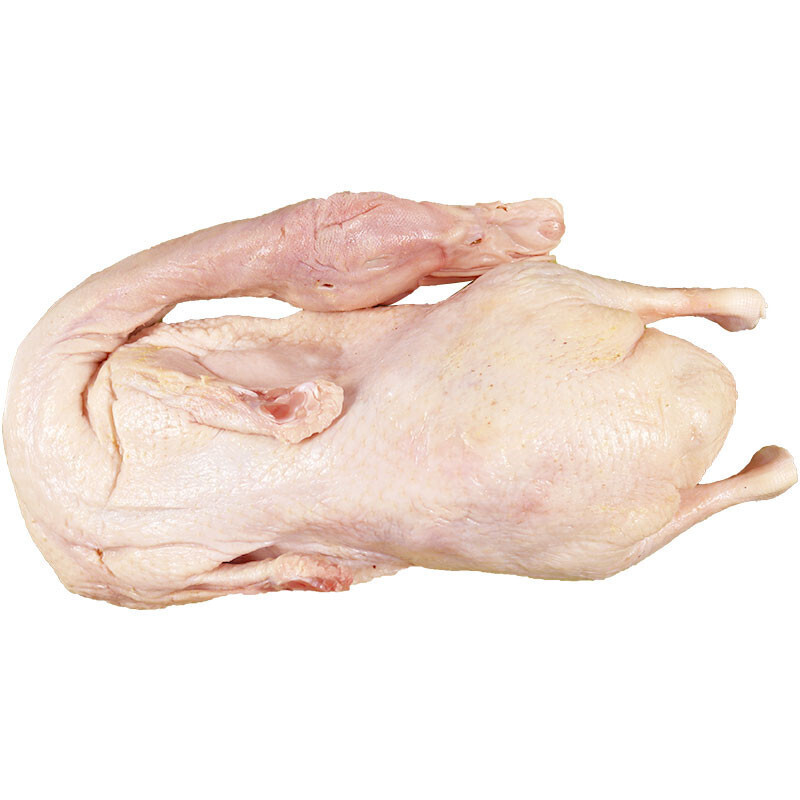 xj樱桃谷瘦肉型白条鸭新鲜鸭子鲜鸭49斤只一箱6只可开发票