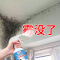 [补贴10%]除霉剂去霉斑霉菌墙体除霉剂霉斑清除剂发霉味天花板除霉神器