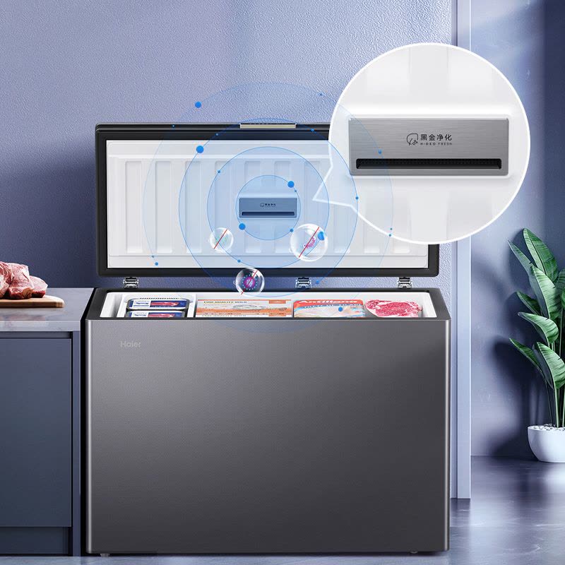 海尔(Haier)241升 家用卧式冰柜 冷柜 小冰箱 风冷无霜 一级能效BC/BD-241WGHEB1图片