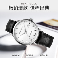 海鸥表(SEAGULL) 机械表 男 时尚男士皮带商务国民自动机械表黑白盘罗马字 819.613