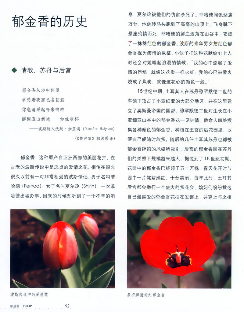 [正版]库存尾品欧洲名花的故事/介绍欧洲7种名花诸如玫瑰、百合、郁金等的花语与历史文化改变世界的七种花高清大图