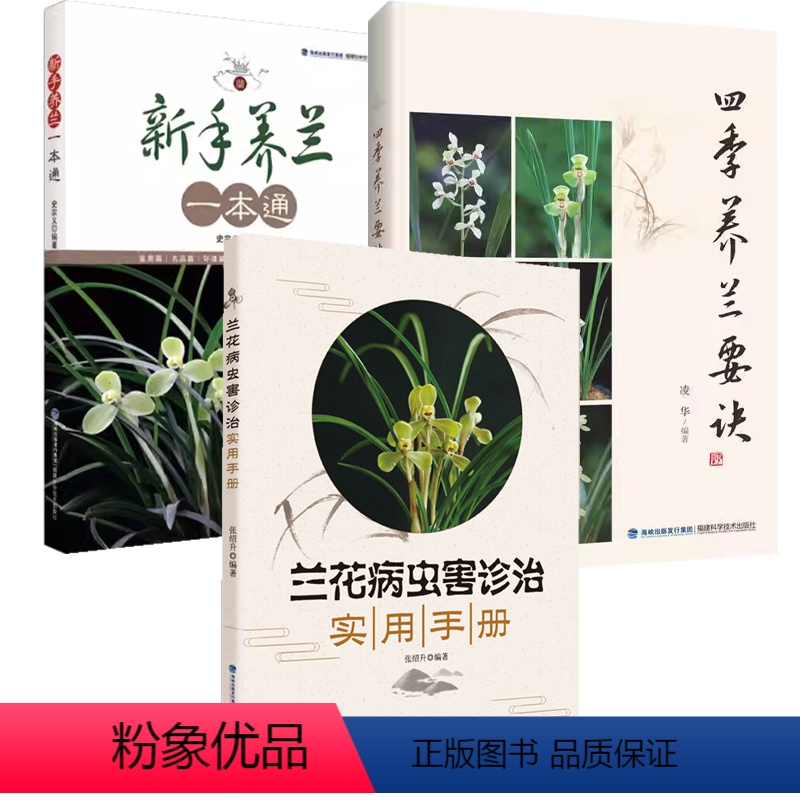 【正版】3册兰花病虫害诊治实用手册+新手养兰一本通+四季养兰要诀 书籍