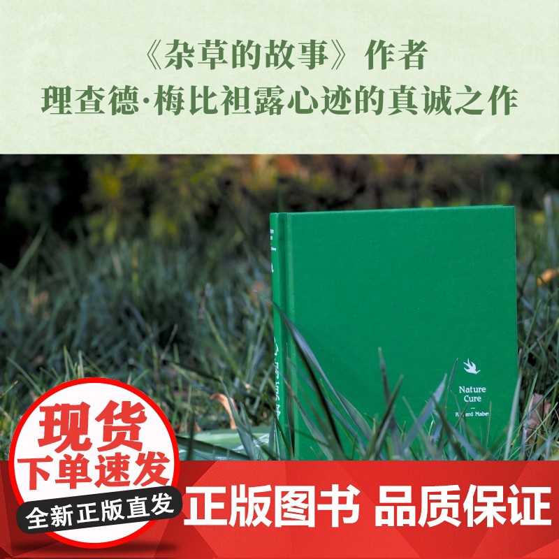 心向原野 自然如何治愈了我(阿来、刘华杰、刘子超、欧阳婷!《杂草的故事》作者理查德·梅比暖心力作!)高清大图