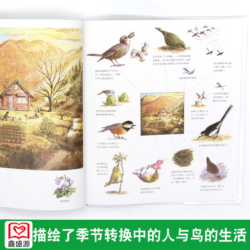 [正版]铃木守的鸟世界(全4册)平装 连环画漫画书山居鸟日记+鸟巢的智慧+鸟巢的秘密+鸟巢的故事幼儿儿童3-6-8岁