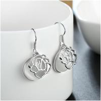 E996-B Women Gold Earrings Stud Hook防过敏耳环韩国气质长款女