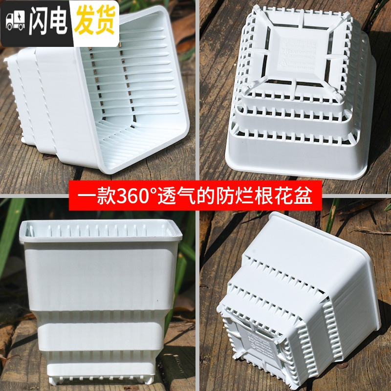 三维工匠多肉花盆带托盘肉肉套装组合透气塑料控根控型盆器 [2套][0.9元]小黑托+4个黑盆(7cm盆) 小花盆容器