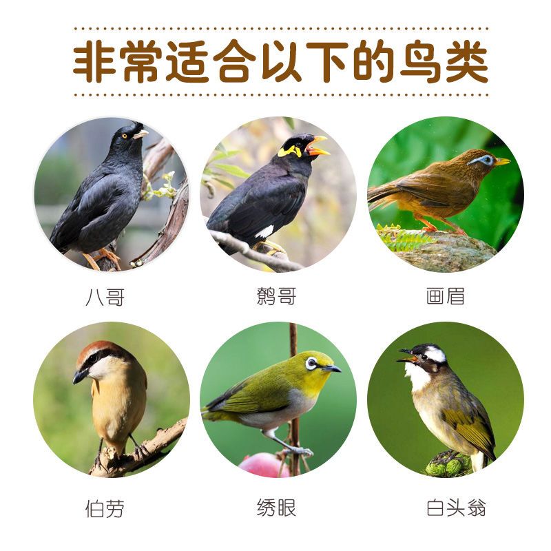 八哥专用营养虫干(400ml)罐装 面包虫干八哥鸟食面包虫八哥饲料鹩哥饲料鸟粮画眉鸟食饲料