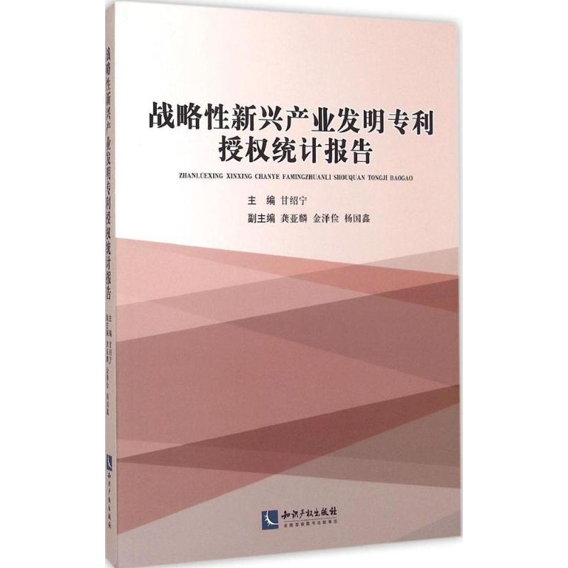 正版新书]战略性新兴产业发明专利授统计报告甘绍宁978751303220高清大图