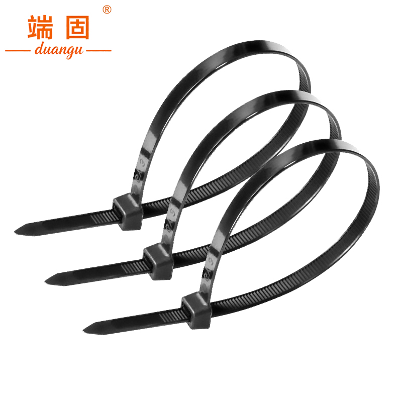 端固 尼龙扎带 4*250mm 根高清大图