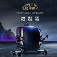 candor/凯得 JC-62E 压缩机恒温红酒柜 榉木层架双层玻璃 家用冰吧 茶叶柜 19瓶 62L