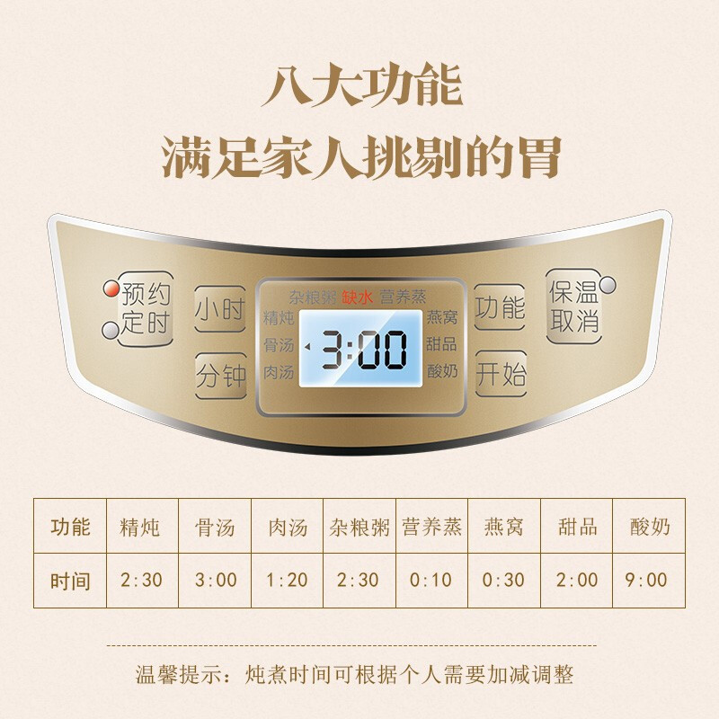 天际水密封隔水炖盅电炖锅陶瓷内胆煮粥煲汤锅一锅五胆养生电炖锅全自动预约定时3-4L/3.2升 DGD32-W132B