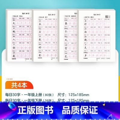 【语文】一年级上+一年级下 【正版】每日一练英语字母单词练字帖小学生每日30字一二三年级字帖练字减压语文同步练字帖每日一