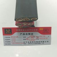 金电石 耐寒扁电缆 YFFB 3*10 米
