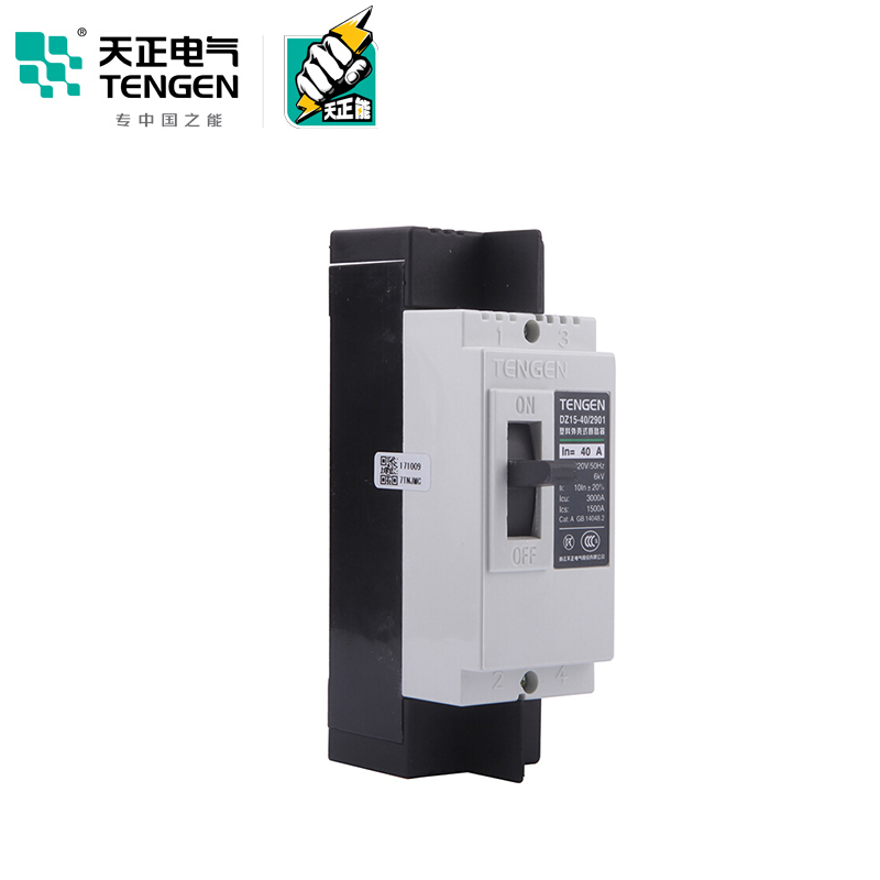 天正电气 DZ15-40 3KA 热磁式 40A 2P 手动 固定式 220V 01040030028 塑壳断路器