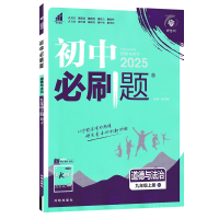 2025版 初中必刷题九年级上册道德与法治人教版RJ理想树中考必刷题九年级政治9年级上学期初三政治同步练习册政治