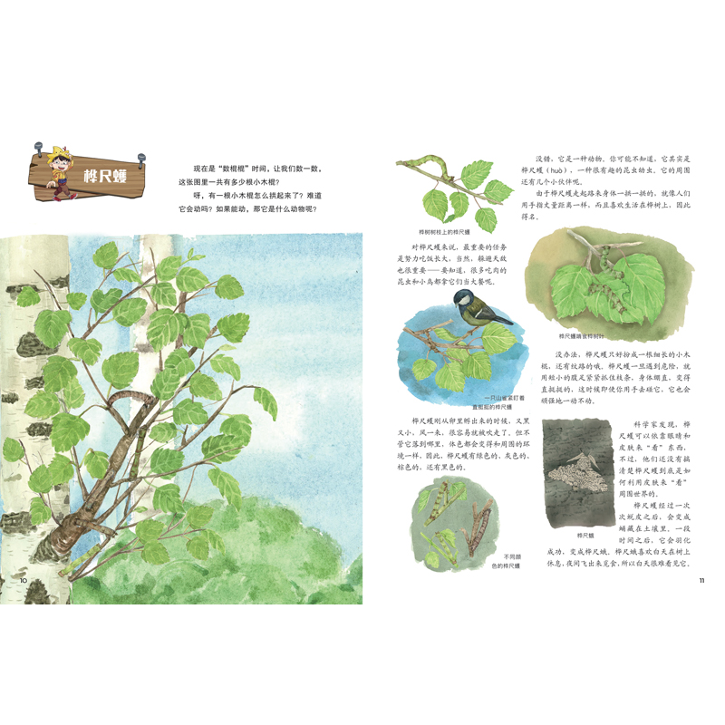 正版新书]天生伪装者临渊9787559546715高清大图