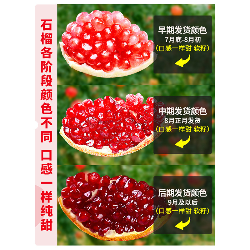 冠町 四川会理突尼斯软籽石榴9斤小果净重8.5-9斤单果150-250g)新鲜水果生鲜