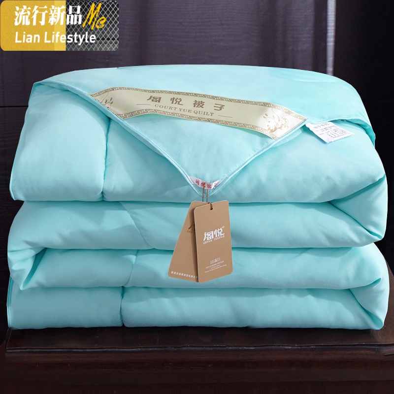 四季通用春秋被子轻薄款丝棉被芯冬被夏凉空调被单人双人春夏两用 三维工匠